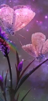 Two butterflies on cosmic purple background with stars.