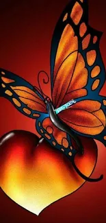 Vibrant butterfly resting on a heart.