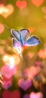 Blue butterfly with heart bokeh lights in a dreamy nature wallpaper.