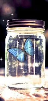 Blue butterfly inside a glass jar on a sunny day.