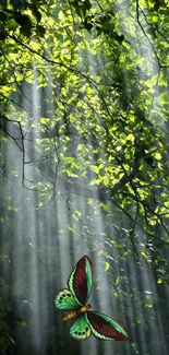 A vibrant butterfly under sunlit forest canopy with lush greenery.