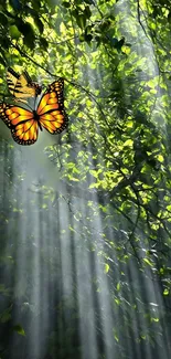 Vibrant butterfly resting among sunlit forest leaves.