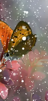 Orange butterfly with snow on a plant.