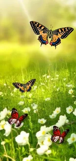 Butterflies flutter above a green meadow with wildflowers.