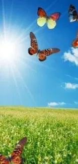 Vibrant butterflies flutter over sunny green meadow under blue sky.