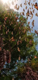 Butterflies fluttering over green trees under a sunny sky.