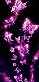 Neon pink butterflies glowing on a dark background.