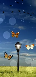 Butterflies and lamp under a starry night sky.