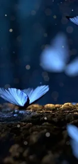 Glowing butterflies in a dark mystical forest night scene.