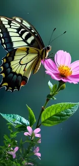 A vibrant butterfly rests on a pink flower with green foliage.
