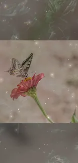 Butterfly perched on a red flower with a sparkly backdrop.