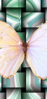 A butterfly resting on a green abstract checkerboard background.