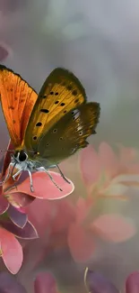 Vibrant butterfly perched on autumn leaves.