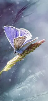 Purple butterfly perched on a blossoming flower with a dreamy background.