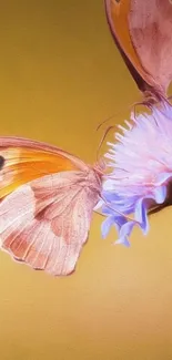 Butterfly resting on a purple flower against a golden yellow backdrop.