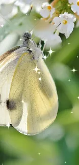 Butterfly perched on white flowers with sparkling lights.