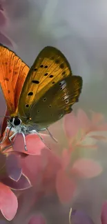 Orange butterfly perched on pink blossoms with a soft background.