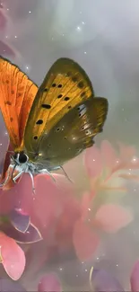 Bright orange butterfly on soft pink blossoms with misty background.