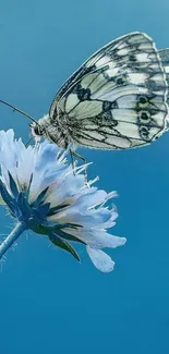 Butterfly perched on a blue flower with a serene sky background.