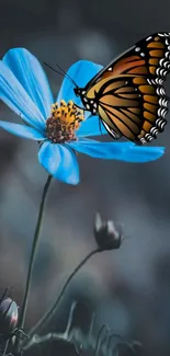 Orange butterfly on a vibrant blue flower with soft focus background.