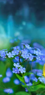 Yellow butterfly on bright blue flowers in a green and blue background.