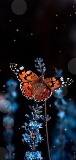 Orange butterfly on vibrant blue flowers creating a stunning contrast on a dark background.