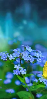 Yellow butterfly on vibrant blue flowers