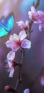 Blue butterfly resting on pink cherry blossoms, vibrant and serene.