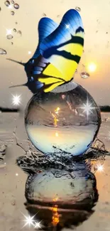 Butterfly perched on crystal sphere with sparkling sunset background.