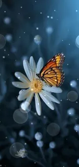 Butterfly resting on daisy with a blue glow background.