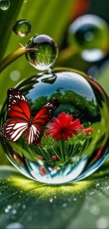 Red butterfly on dewdrop-covered leaf with reflected flower.