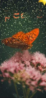 Orange butterfly on pink flowers under a starry dark green sky.