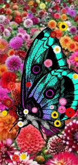 Blue butterfly with colorful flowers background.