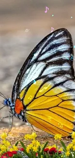 A beautiful butterfly rests on colorful flowers along a sunlit pathway.