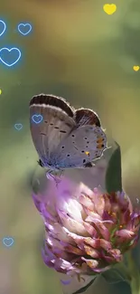 Butterfly on a flower amidst glowing hearts.