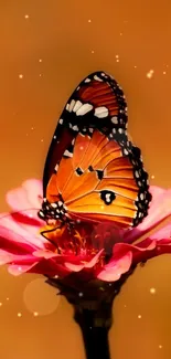 Vibrant butterfly resting on a pink flower with an orange background.