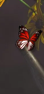 Red butterfly on a dark flower wallpaper.