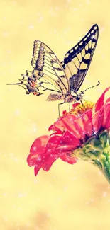 Butterfly resting on a red flower against a yellow backdrop.