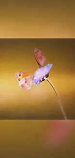 Butterfly perched on a flower with a golden brown background.