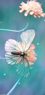 Pastel butterfly resting on a flower with aqua background.