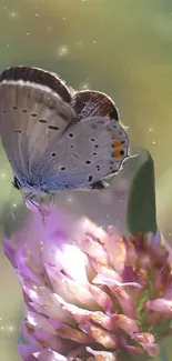 Butterfly perched on a vibrant purple flower with a soft green background.