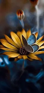 Butterfly on a vibrant yellow flower with dark blue background.