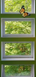 Butterfly resting on colorful green windowsills with lush nature view.