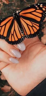 Orange monarch butterfly resting on a hand against a natural backdrop.