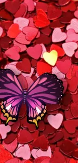 Purple butterfly on a background of red and pink hearts.