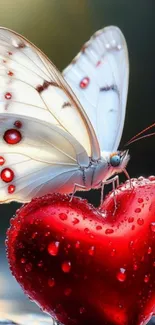 White butterfly on a red heart with water droplets.