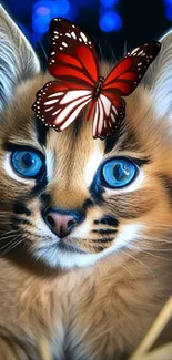 Cute kitten with blue eyes and butterfly on head.