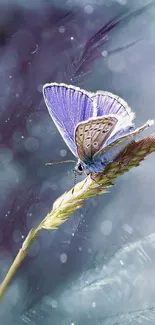 Delicate butterfly resting on a lavender plant in a dreamy setting.