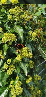 Butterfly perched amidst green and yellow foliage in a garden setting.