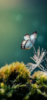 Serene butterfly resting on moss in nature-inspired wallpaper.